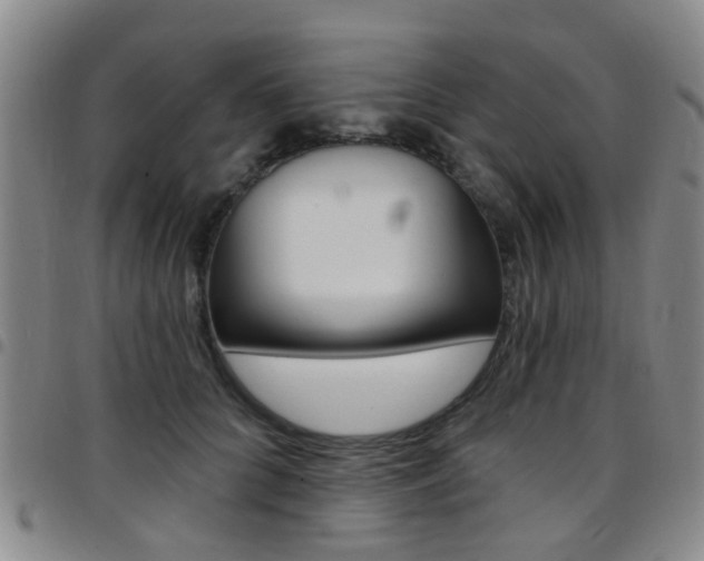 X0000097830704200803140828