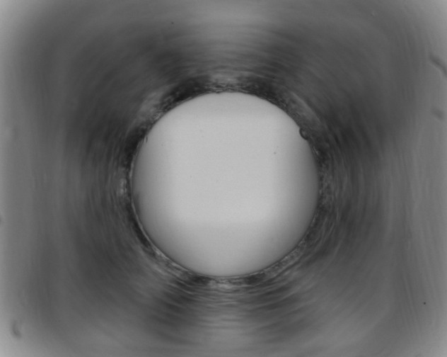 X0000097830706200803140828