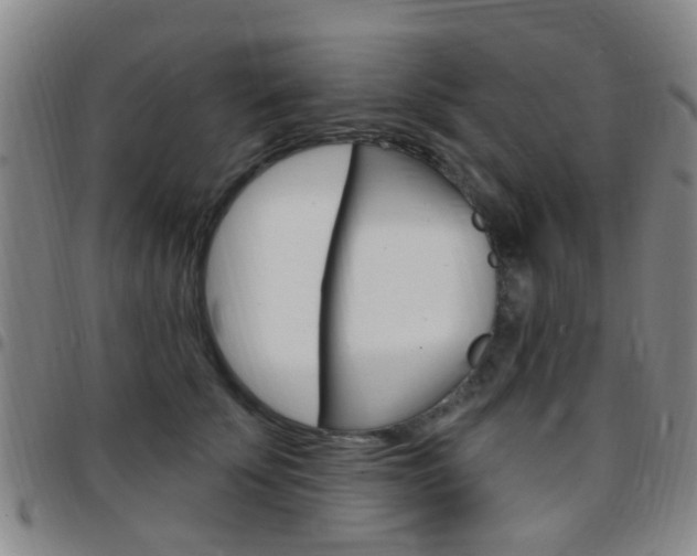 X0000097830707200803140828