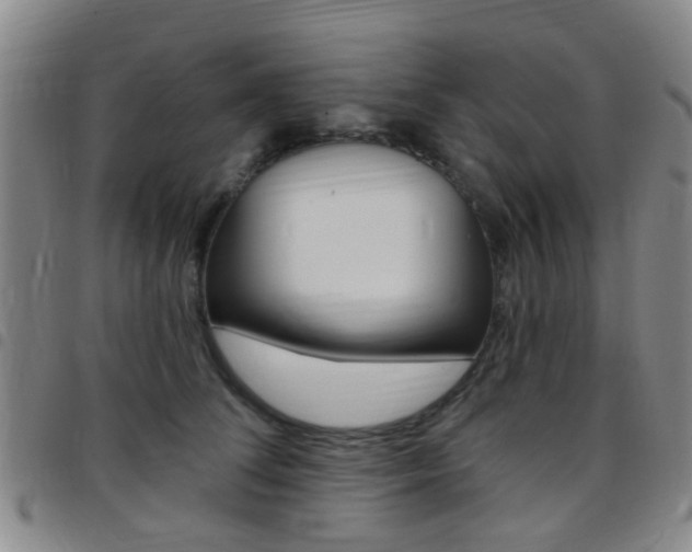 X0000097830708200803140828