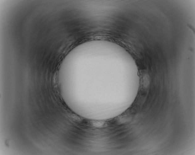 X0000097830709200803140828