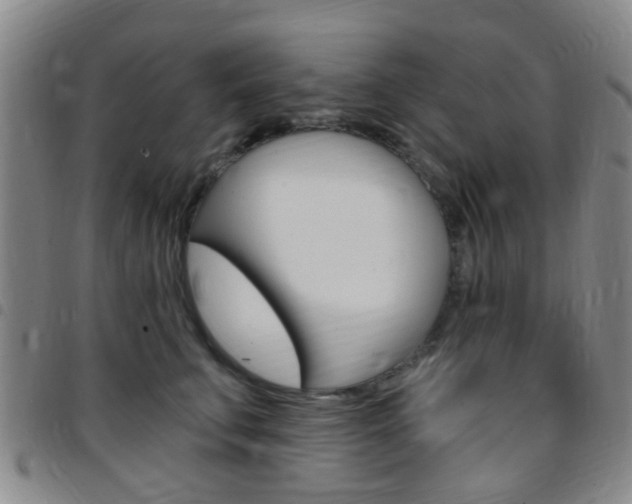 X0000097830711200803140828