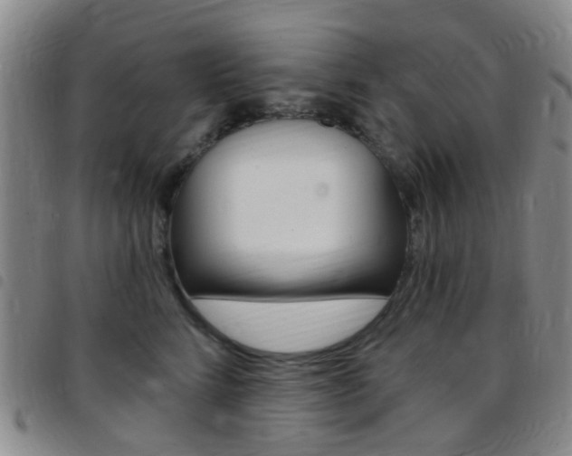 X0000097830712200803140828