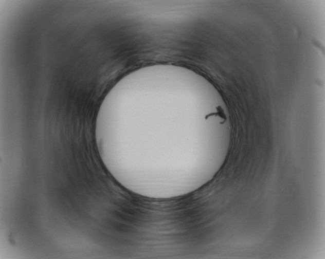 X0000097830720200803140828
