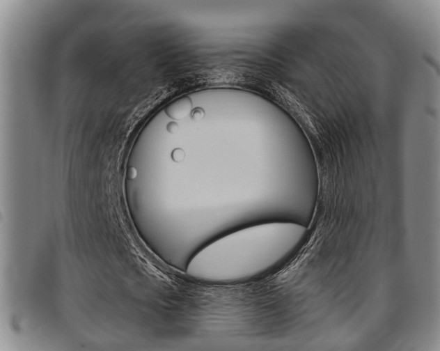X0000097830721200803140827