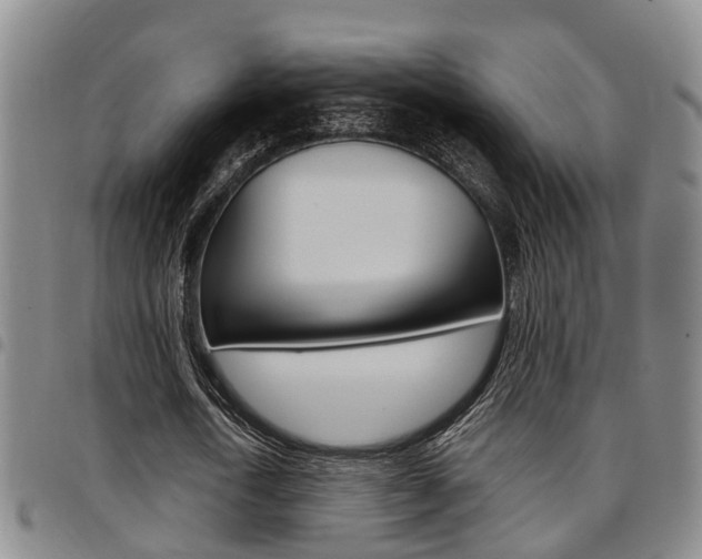 X0000097830722200803140827