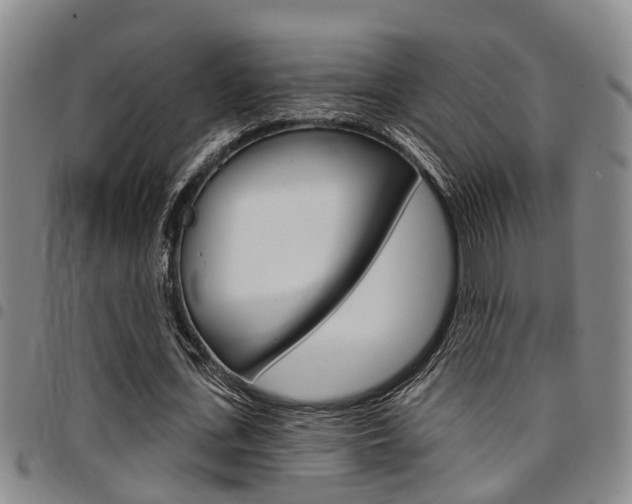 X0000097830723200803140827