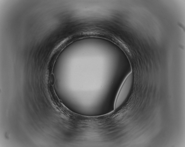 X0000097830724200803140827