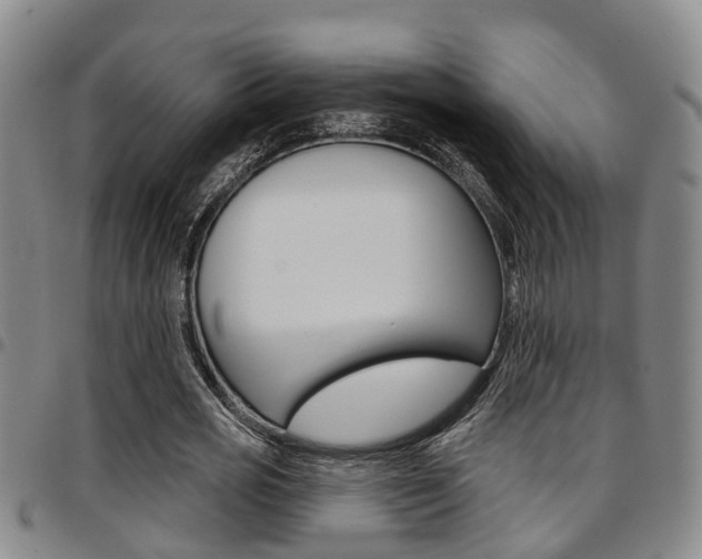 X0000097830725200803140827