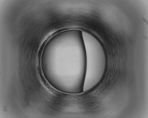 X0000097830726200803140827