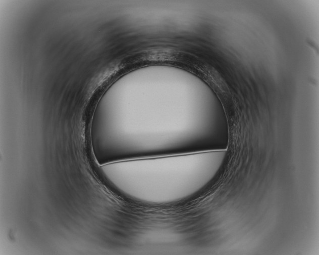 X0000097830727200803140827