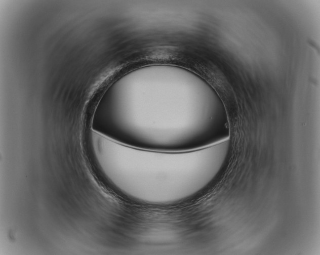 X0000097830728200803140827