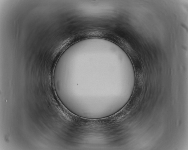 X0000097830729200803140827
