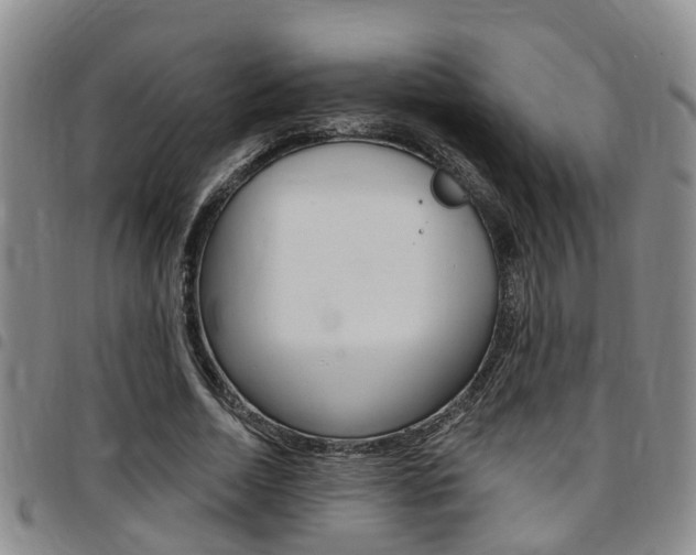 X0000097830730200803140827