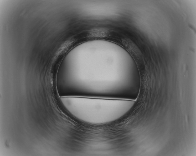 X0000097830731200803140827