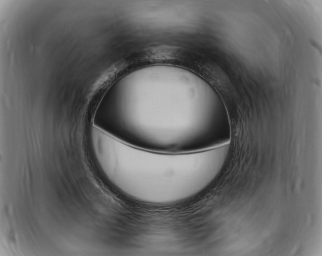 X0000097830732200803140827