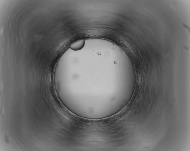 X0000097830733200803140827