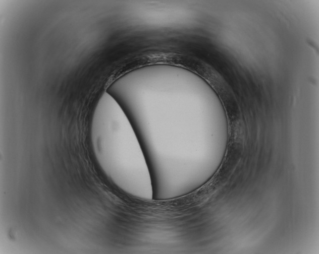 X0000097830737200803140827