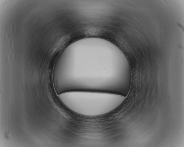 X0000097830738200803140827