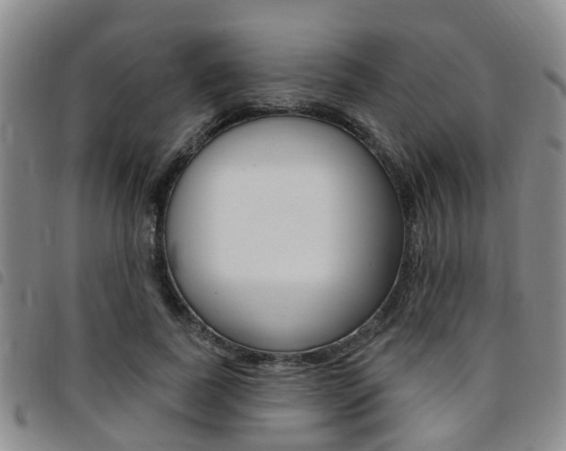 X0000097830739200803140827