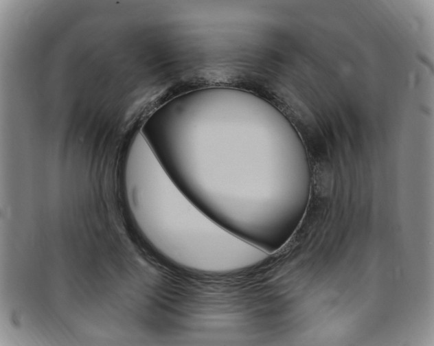 X0000097830740200803140827