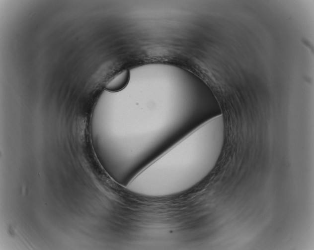 X0000097830742200803140827