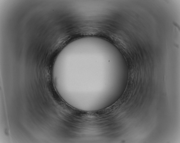 X0000097830743200803140827