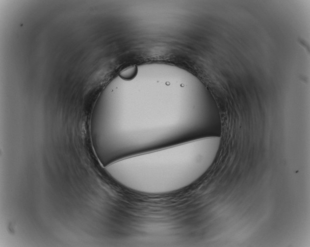 X0000097830746200803140827