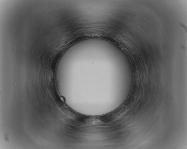 X0000097830747200803140827