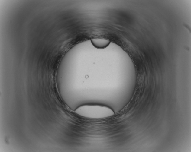 X0000097830749200803140827