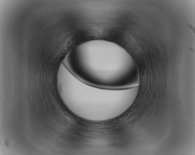 X0000097830750200803140827