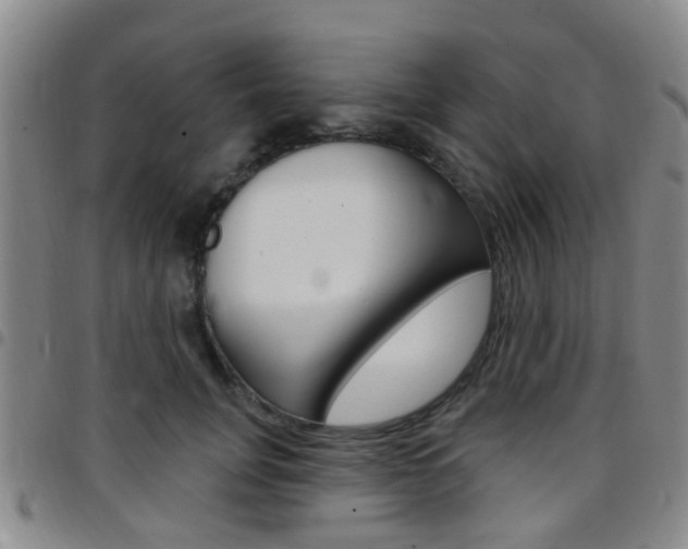 X0000097830751200803140827
