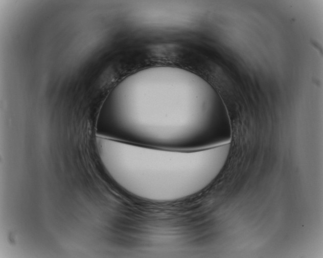 X0000097830752200803140827