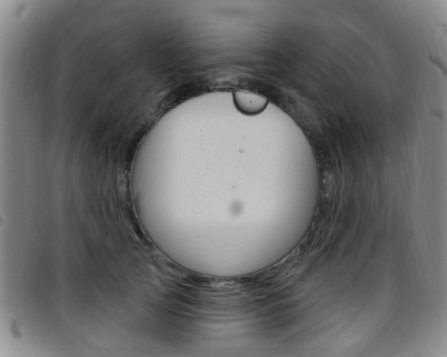 X0000097830753200803140827