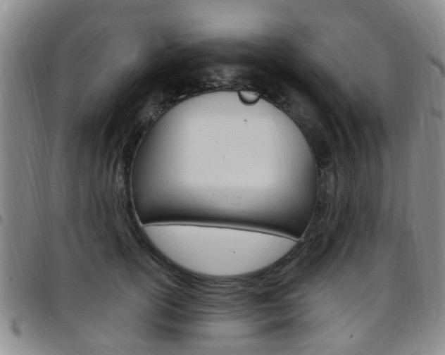 X0000097830754200803140827