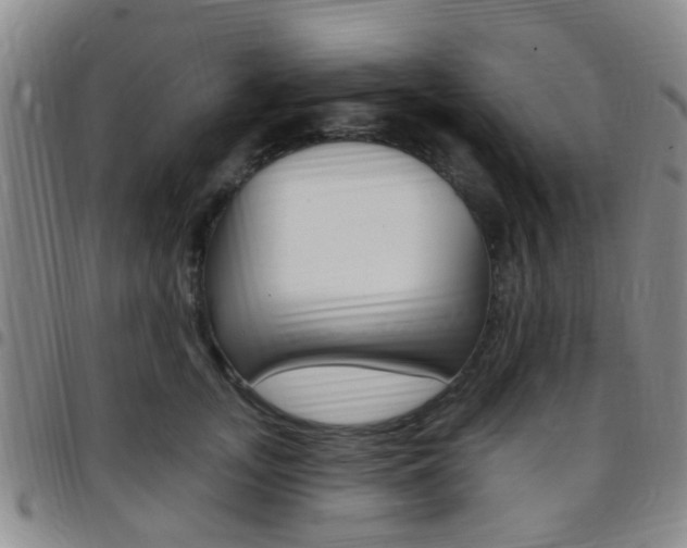 X0000097830755200803140827