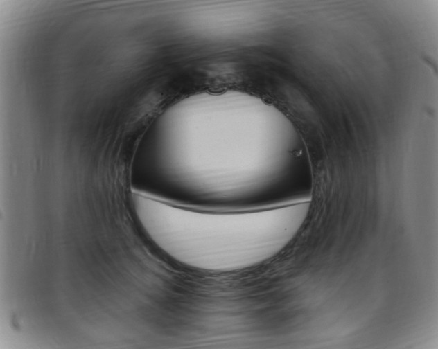 X0000097830756200803140827