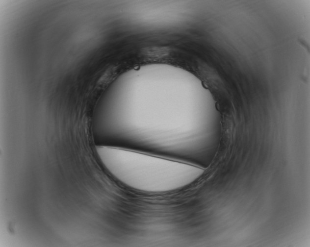 X0000097830758200803140827