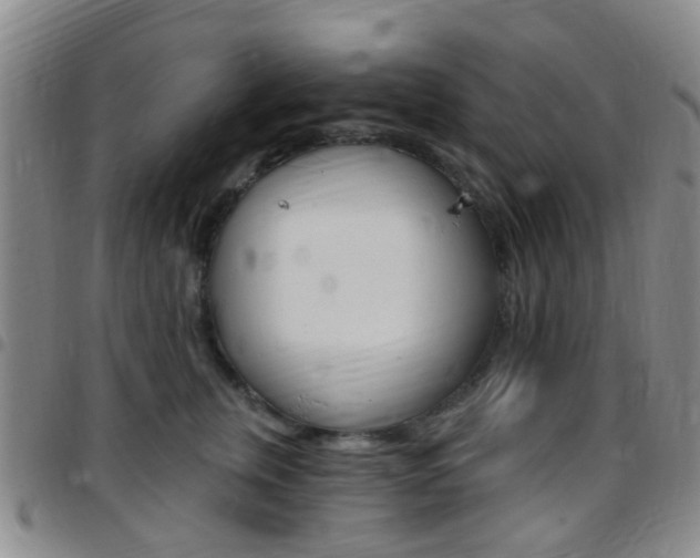 X0000097830759200803140827