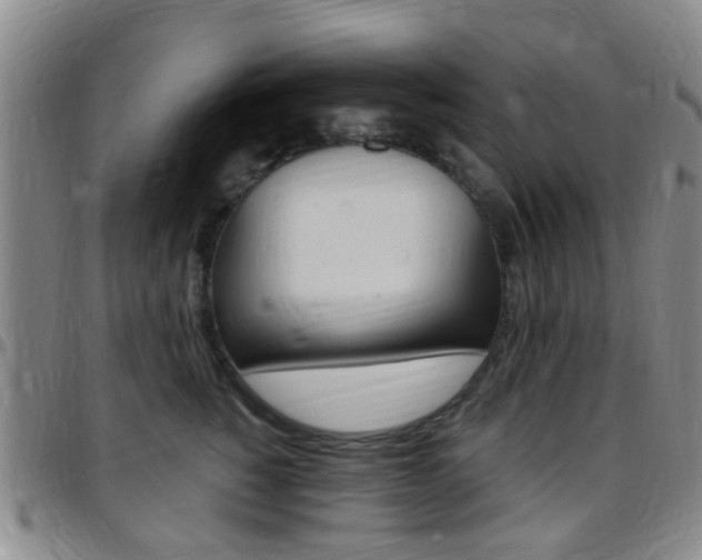 X0000097830760200803140827