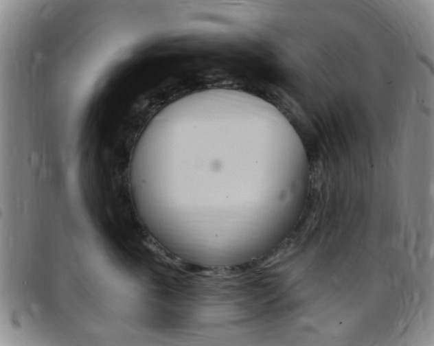 X0000097830763200803140827