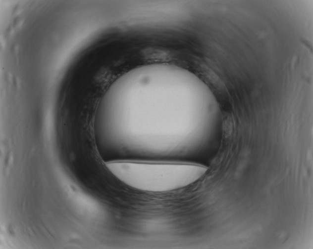X0000097830764200803140828