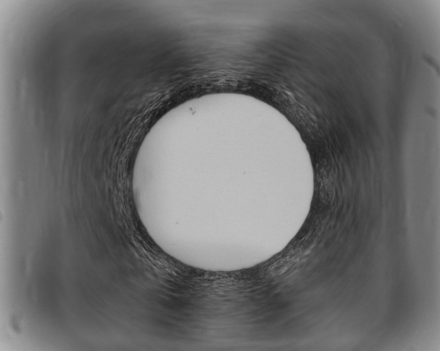 X0000097830769200803140827