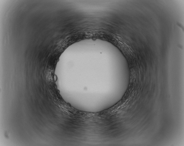 X0000097830770200803140827
