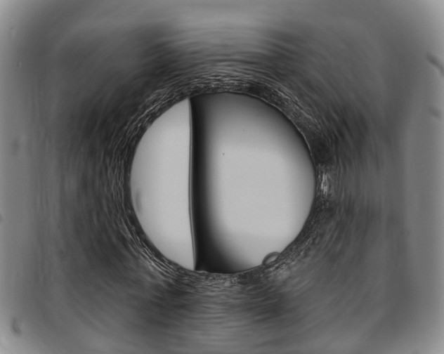 X0000097830771200803140827