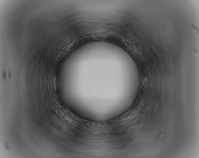 X0000097830772200803140827