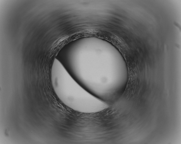 X0000097830773200803140827