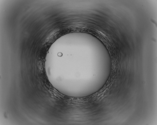 X0000097830774200803140827