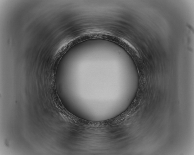 X0000097830775200803140827