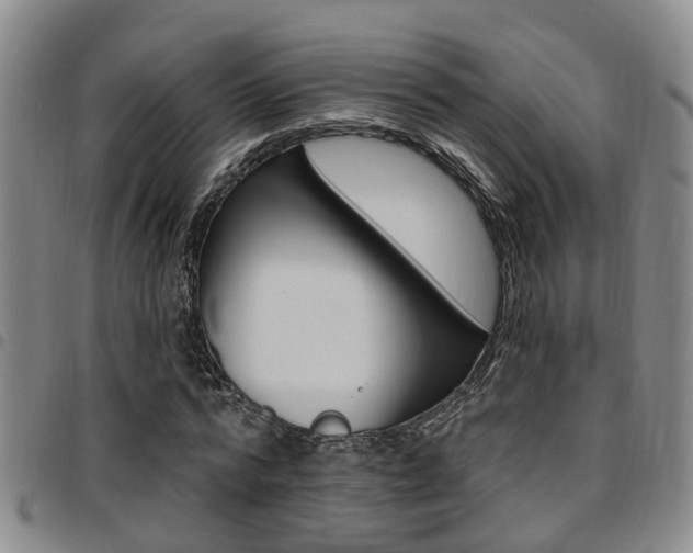 X0000097830776200803140827